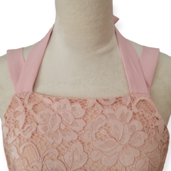 SAM EDELMAN PETAL PINK THICK STRAP LACE DRESS SIZE 10 - Picture 6 of 14